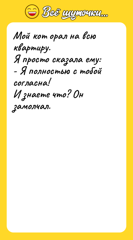 Мой кот орал на всю квартиру. Я просто