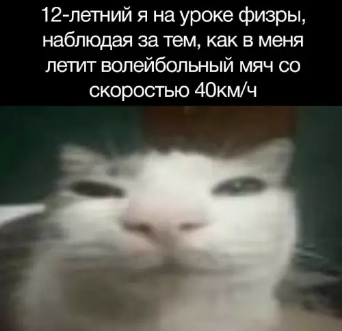 Смешная картинка №735286