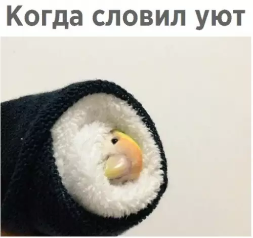 Смешная картинка №225790