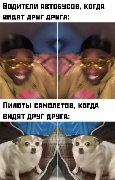 Смешная картинка №473638