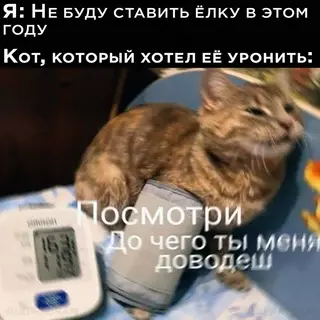 Смешная картинка №667040 😿