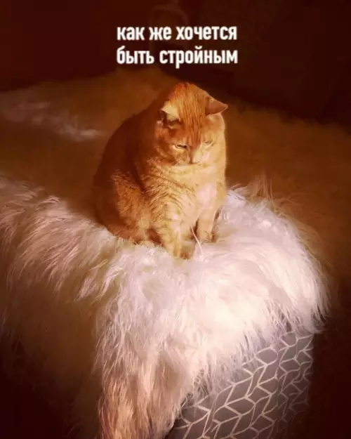 Смешная картинка №599492