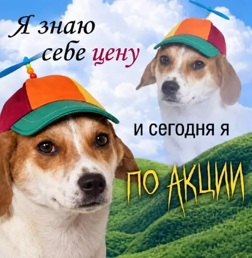 Скидка на уверенность в себе! 😂🐶 - Я знаю себе себе цену и сегодня я ПО АКЦИИ
