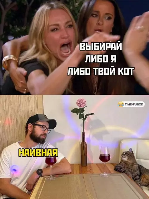 Смешная картинка №692342 коты