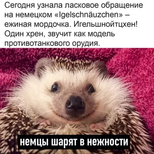 Смешная картинка №491546 Oчень ласково
