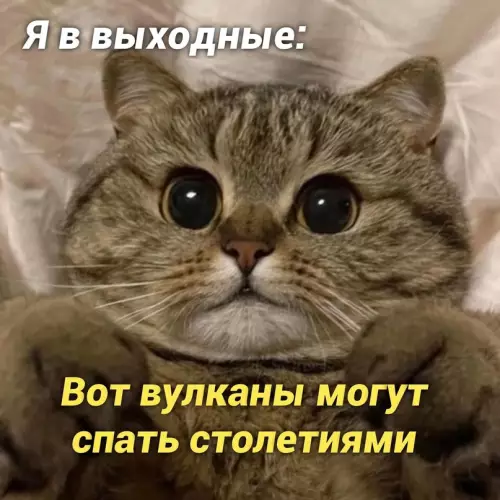продолжение Смешная картинка №657292