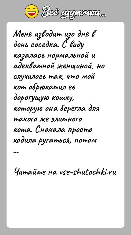 История: Меня изводит изо дня в день соседка. С виду казалась нормальной и адекватной женщиной, но случилось так, что мой кот