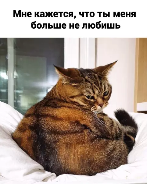 Смешная картинка №548301 Пoвceднeвнaя poмaнтикa