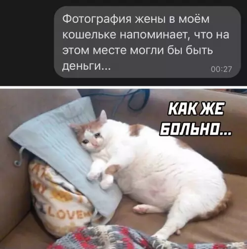 Смешная картинка №582666 жена