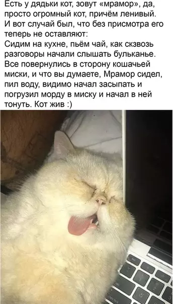 Смешная картинка №496902 Полное погружение