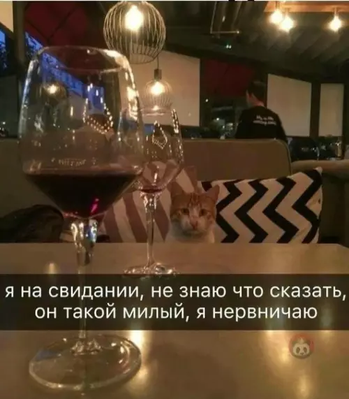 Смешная картинка №493185 Лучшее свидание по мнению девушек ? Коты