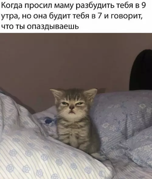 Смешная картинка №690760