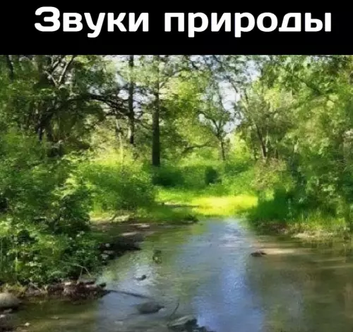 продолжение Смешная картинка №720758