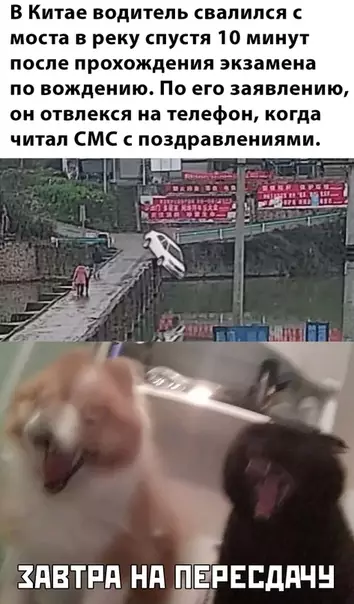 Смешная картинка №473693 ??