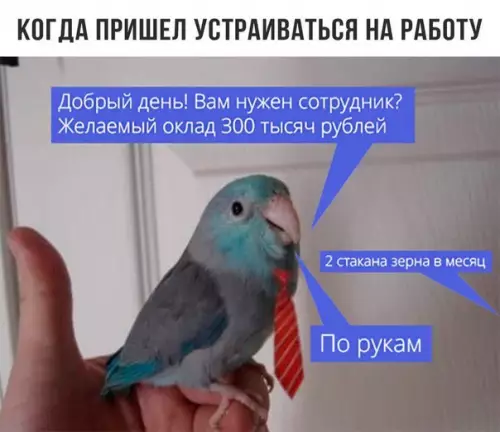 Смешная картинка №259091