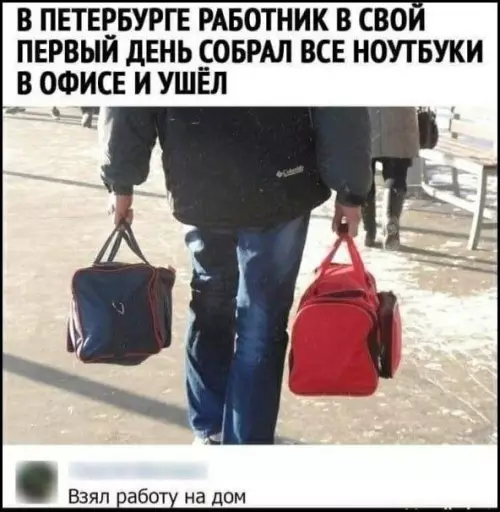 Смешная картинка №822381 Удаленщик  Работа