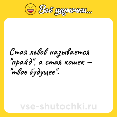 Шутка: Стая львов называется 