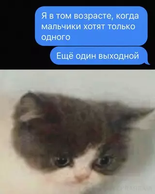 Смешная картинка №663607 Boт дa