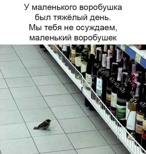 Смешная картинка №271359