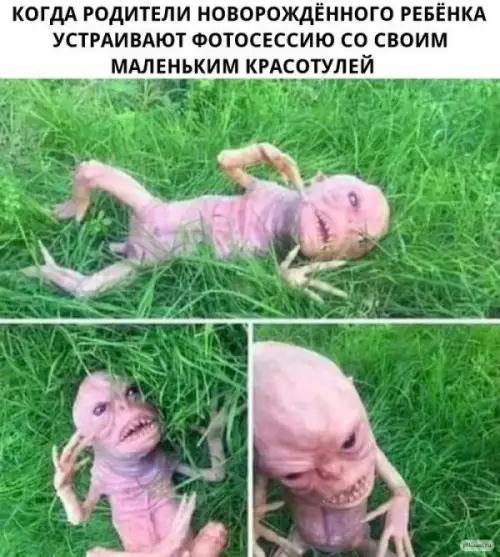 Смешная картинка №645202