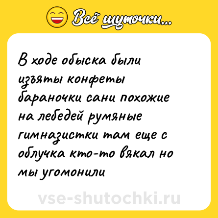 Шутка: В ходе обыска были изъяты конфеты бараночки сани похожие на лебедей румяные гимназистки там еще с облучка кто-то вякал но мы угомонили