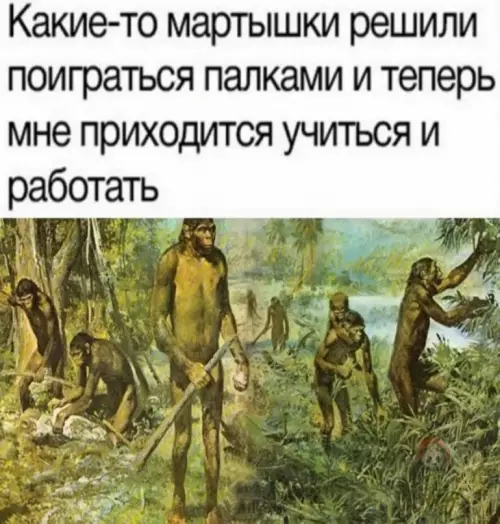 Смешная картинка №606830 Чертовы мартышки!