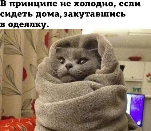 Смешная картинка №231448