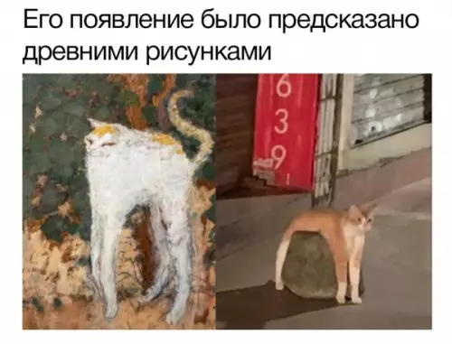Смешная картинка №652110