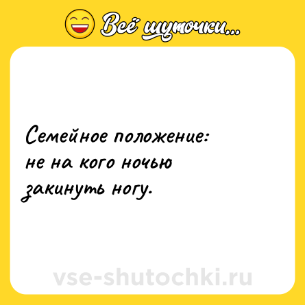 Шутка: Семейное положение: <br>не на кого ночью закинуть ногу.