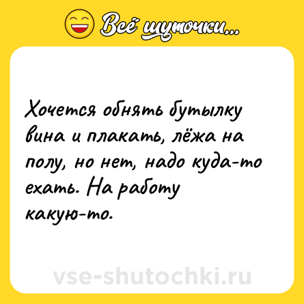 Шутка: Хочется обнять бутылку вина и плакать, лёжа на полу, но нет, надо куда-то ехать. На работу какую-то.