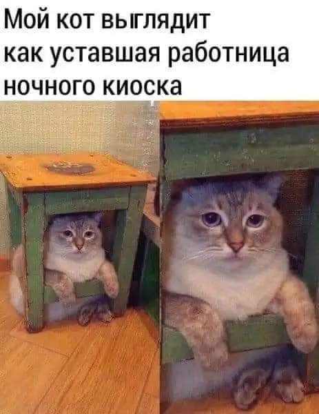 Смешная картинка №658232