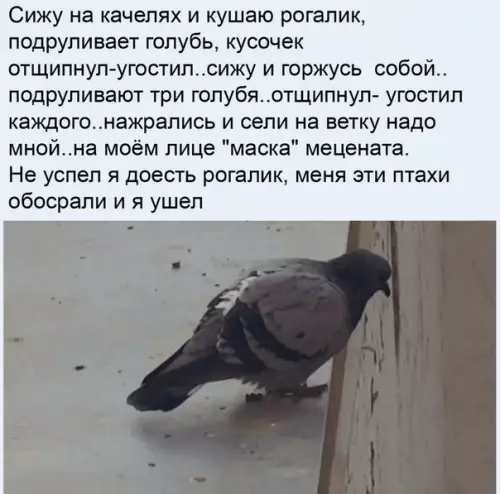 Смешная картинка №510837 Б-блaгодapнocть