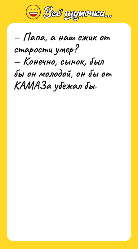 — Папа, а наш ежик от старости умер? — Конечно,