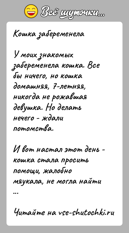 История: Кошка забеременелаУ моих знакомых забеременела кошка. Все бы ничего, но кошка домашняя, 7-летняя, никогда не рожавшая девушка. Но делать нечего