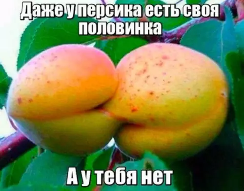 Смешная картинка №232451