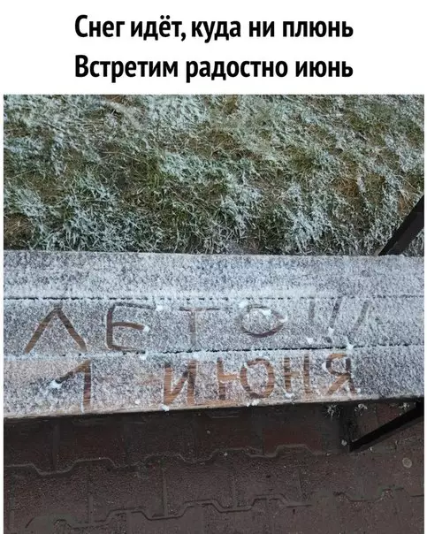 Смешная картинка №279035 Лето