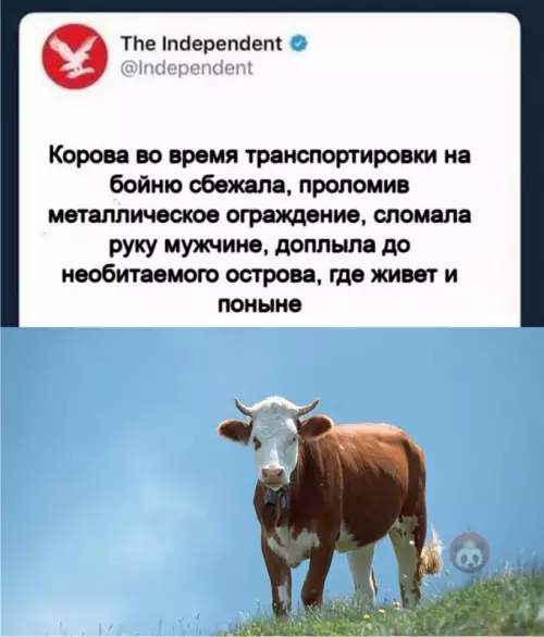 Смешная картинка №649523 Фильм об этом потянет минимум на несколько Оскаров ?