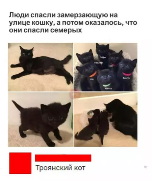 Смешная картинка №254461