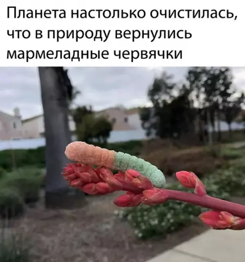 Смешная картинка №490946
