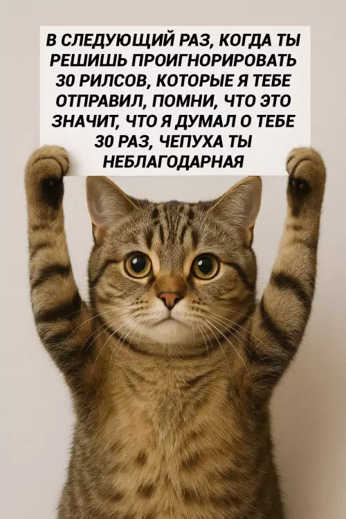Смешная картинка №772695 Не надо так