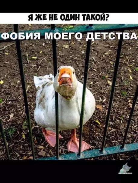 Смешная картинка №385834