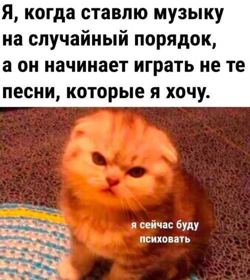 Смешная картинка №774240