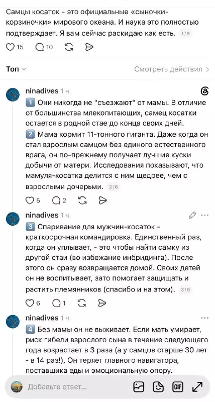 Косатки — это мамины сыночки 🐋😂 - Самцы косаток - это официальные сыночки-корзиночки мирового океана. И наука