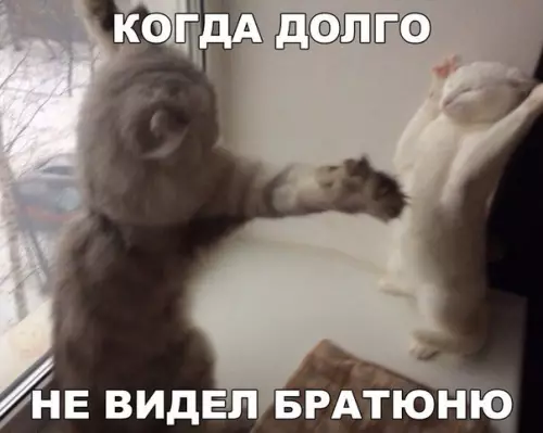 Смешная картинка №191089