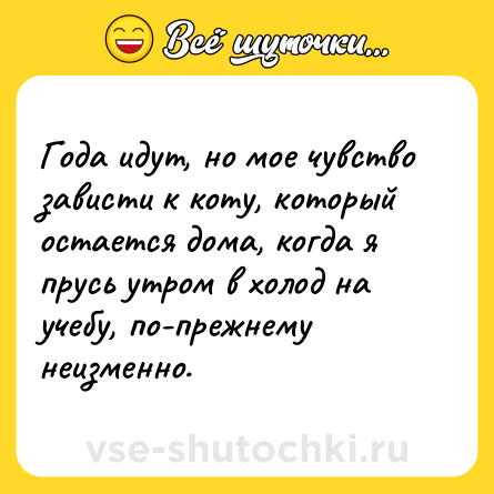 Шутка: Года идут, но мое чувство зависти к коту, который остается дома, когда я прусь утром в холод на учебу, по-прежнему неизменно.