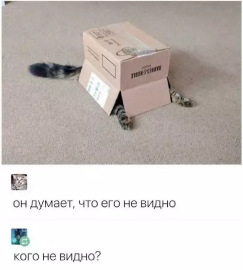 Смешная картинка №735282 Просто коробка