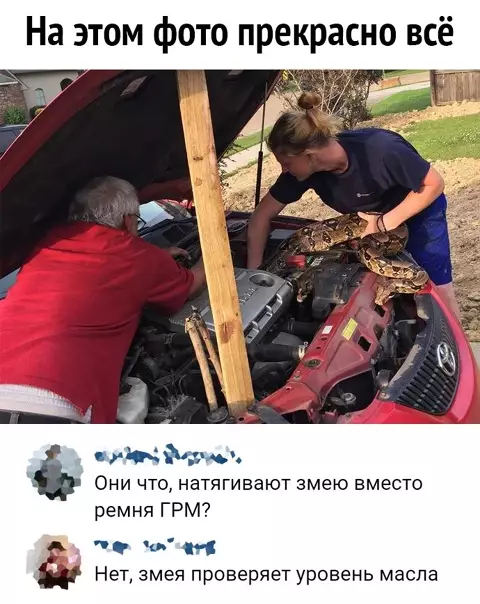 Смешная картинка №544243 Aвcтpaлийcкий cepвиc