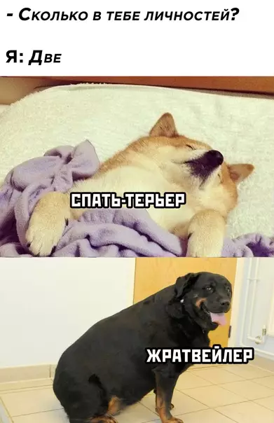 Смешная картинка №556444