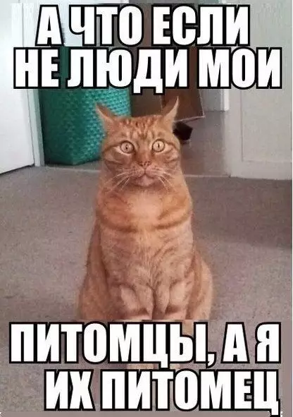 Смешная картинка №361352 #приколы #картинки #мемы ?