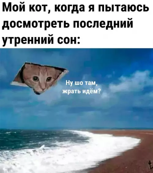 Смешная картинка №659748